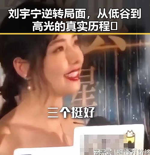 刘宇宁逆转局面，从低谷到高光的真实历程✨