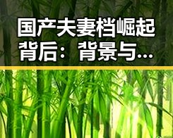 国产夫妻档崛起背后：背景与影响深度解读