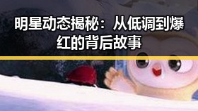 明星动态揭秘：从低调到爆红的背后故事