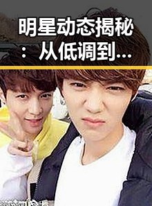 明星动态揭秘：从低调到爆红的背后故事
