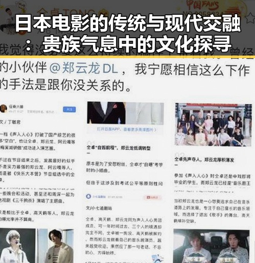 日本电影的传统与现代交融:贵族气息中的文化探寻