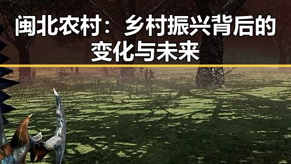 闽北农村：乡村振兴背后的变化与未来