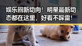 娱乐圈新动向！明星最新动态都在这里，好看不踩雷！