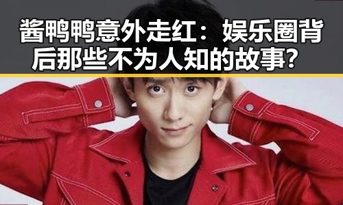 酱鸭鸭意外走红:娱乐圈背后那些不为人知的故事?