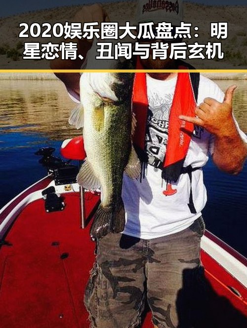 2020娱乐圈大瓜盘点:明星恋情、丑闻与背后玄机