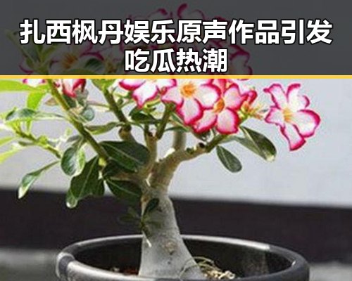 扎西枫丹娱乐原声作品引发吃瓜热潮