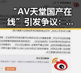 “AV天堂国产在线”引发争议:背后隐现的社会与法律隐忧