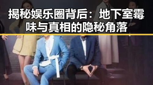 揭秘娱乐圈背后：地下室霉味与真相的隐秘角落