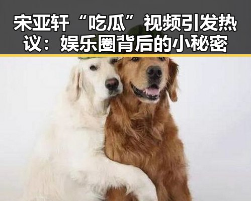 宋亚轩“吃瓜”视频引发热议:娱乐圈背后的小秘密